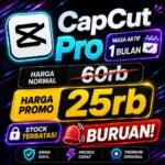 CAPCUT PRO PREMIUM